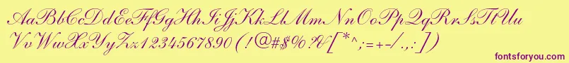 ShelleyltstdScript Font – Purple Fonts on Yellow Background