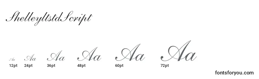ShelleyltstdScript Font Sizes