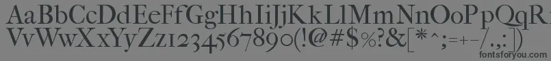 Fefcrm2 Font – Black Fonts on Gray Background
