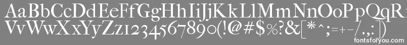 フォントFefcrm2 – 灰色の背景に白い文字