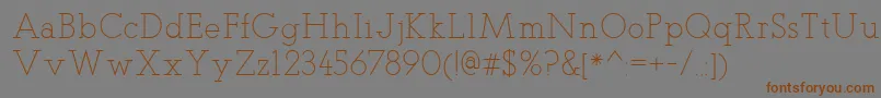 Weitere Informationen zur TeletexLight-Schriftart TeletexLight-Schriftart – Braune Schriften auf grauem Hintergrund