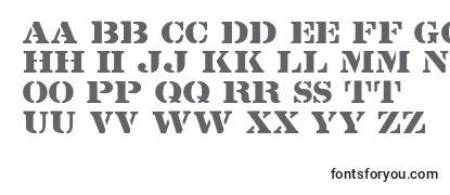 LintsecRegular Font