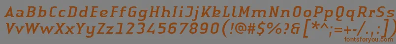 LinotypeAuthenticSmallSerifItalic Font – Brown Fonts on Gray Background