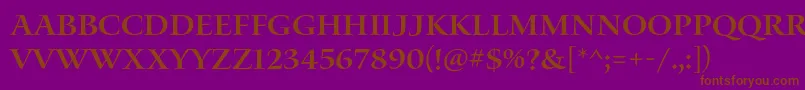 Шрифт WaterstitlingproSb – коричневые шрифты на фиолетовом фоне