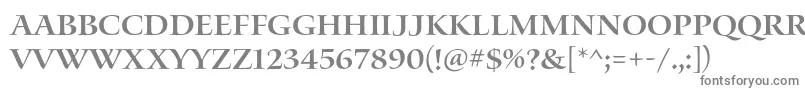 Шрифт WaterstitlingproSb – серые шрифты на белом фоне
