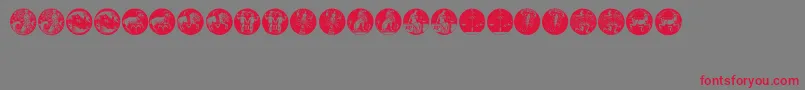 Tierkreis5 Font – Red Fonts on Gray Background