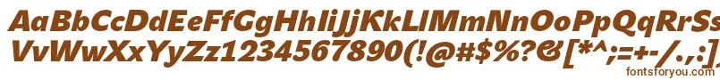 フォントJohnsansHeavyProBoldItalic – 白い背景に茶色のフォント
