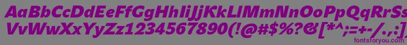 フォントJohnsansHeavyProBoldItalic – 紫色のフォント、灰色の背景