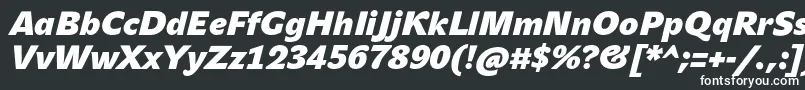 JohnsansHeavyProBoldItalic Font – White Fonts