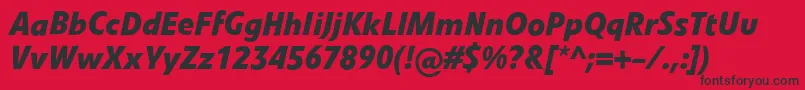 LinotypevetoBolditalic Font – Black Fonts on Red Background