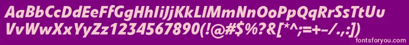 LinotypevetoBolditalic Font – Pink Fonts on Purple Background