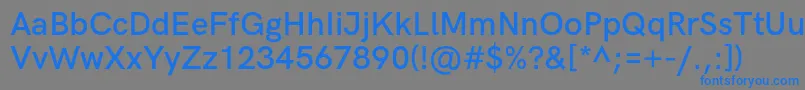 HkgroteskSemiboldlegacy Font – Blue Fonts on Gray Background