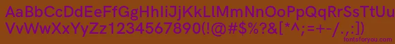HkgroteskSemiboldlegacy Font – Purple Fonts on Brown Background