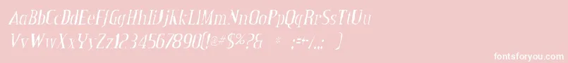 CreditvalleygauntItalic Font – White Fonts on Pink Background