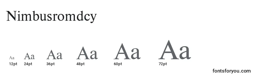 Размеры шрифта Nimbusromdcy