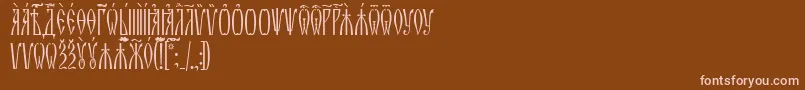 ZlatoustUcs Font – Pink Fonts on Brown Background