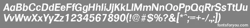 FormulaantiqueBolditalic Font – White Fonts on Gray Background