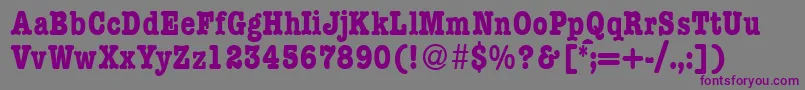 ModerntypewritercondBold Font – Purple Fonts on Gray Background