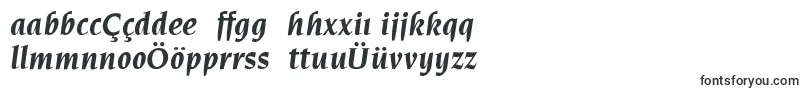 ElegantiaBolditalic Font – Azerbaijani Fonts