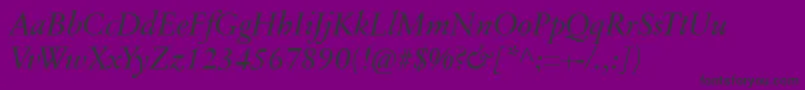 SabonnextLtItalic Font – Black Fonts on Purple Background