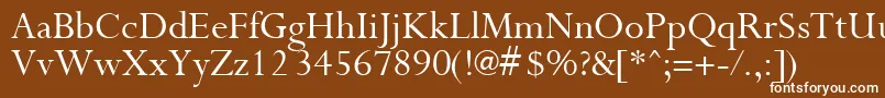 Шрифт PurloinRegular – белые шрифты на коричневом фоне