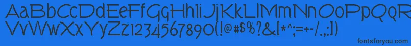 TorkRegular Font – Black Fonts on Blue Background