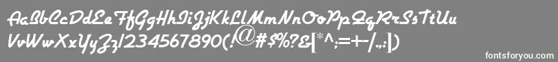 AirstreamNf Font – White Fonts on Gray Background