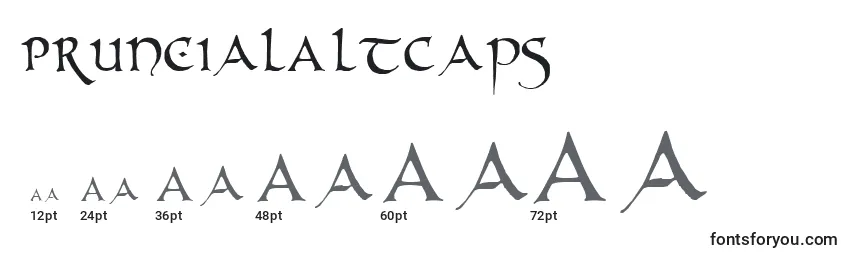 PrUncialAltCaps Font Sizes