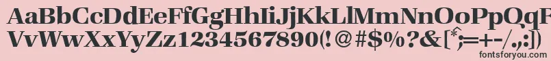 ZabriskiebookBold Font – Black Fonts on Pink Background