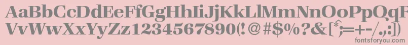 Police ZabriskiebookBold – polices grises sur fond rose
