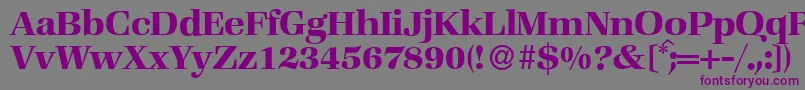 ZabriskiebookBold-fontti – violetit fontit harmaalla taustalla