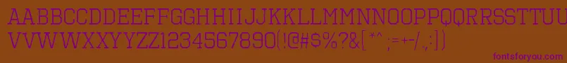 OctinVintageBRg Font – Purple Fonts on Brown Background