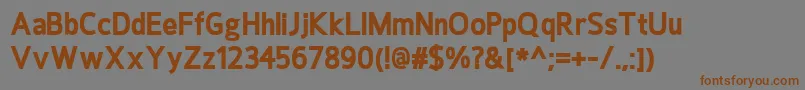 HoxtonExtrabold Font – Brown Fonts on Gray Background