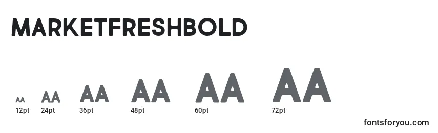 MarketFreshBold Font Sizes