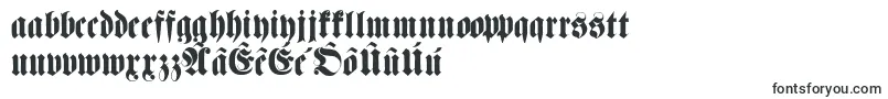 Fettehaenelfraktur Font – Frisian Fonts