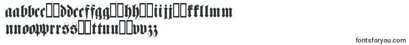 Police Fettehaenelfraktur – polices espéranto