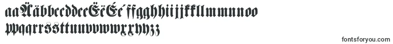 Fettehaenelfraktur Font – Macedonian Fonts