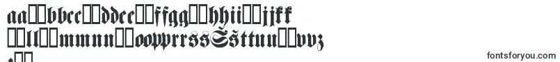 Fettehaenelfraktur Font – Latvian Fonts