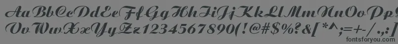 Шрифт SanasoftBitScript.Kz – чёрные шрифты на сером фоне