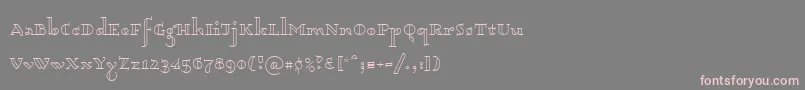 フォントDagerotypos – 灰色の背景にピンクのフォント