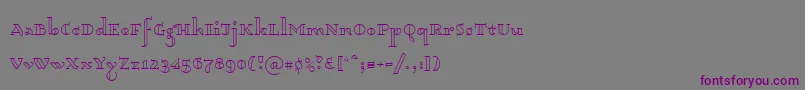フォントDagerotypos – 紫色のフォント、灰色の背景