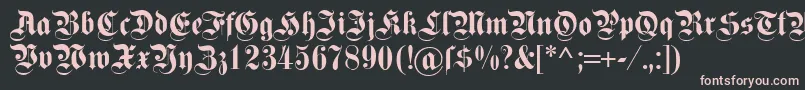 Dsfettekanzlei Font – Pink Fonts on Black Background