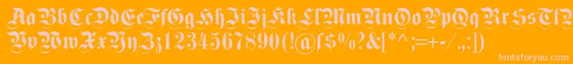 Dsfettekanzlei-Schriftart – Rosa Schriften auf orangefarbenem Hintergrund