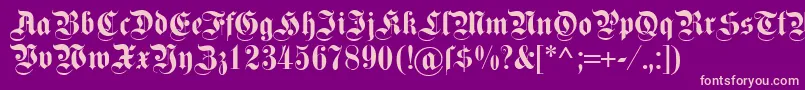 Dsfettekanzlei-Schriftart – Rosa Schriften auf violettem Hintergrund