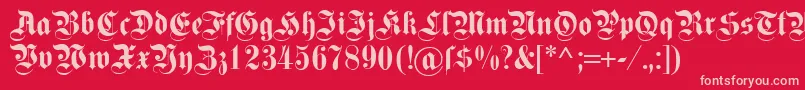 フォントDsfettekanzlei – 赤い背景にピンクのフォント