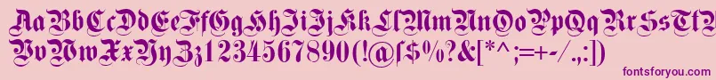 Dsfettekanzlei-Schriftart – Violette Schriften auf rosa Hintergrund