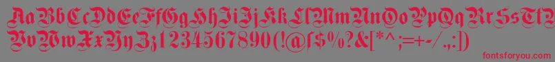 Dsfettekanzlei Font – Red Fonts on Gray Background