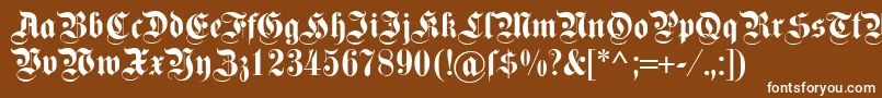 Dsfettekanzlei Font – White Fonts on Brown Background