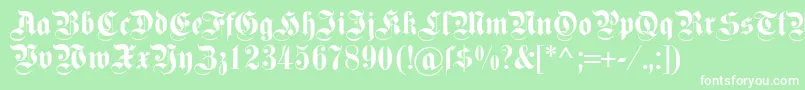 Dsfettekanzlei Font – White Fonts on Green Background