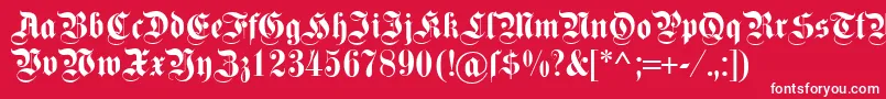 Dsfettekanzlei Font – White Fonts on Red Background